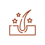 files/Frame_2147229288.png